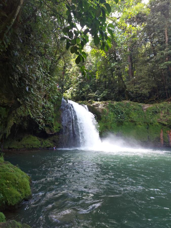 Cabaña para vacacionar río Sarapiquí Exterior foto